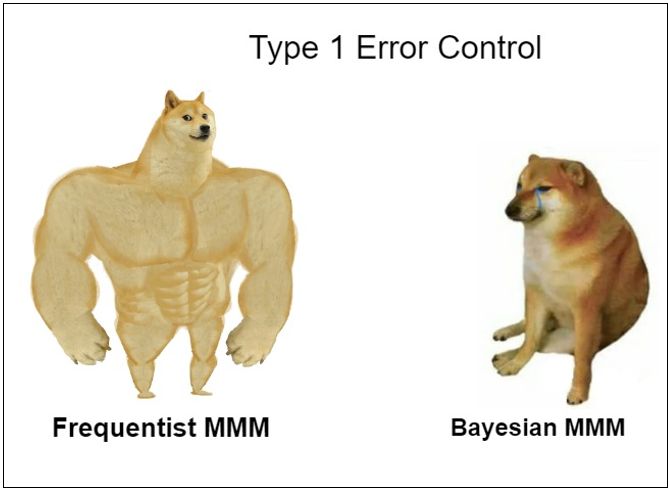 Type 1 Error Control